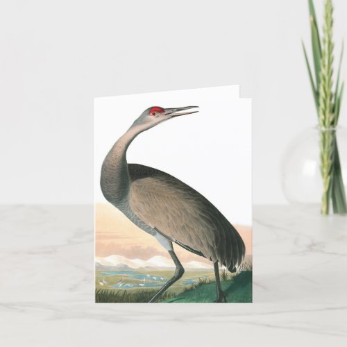 Hooping Crane by John James Audubon Thank You Card