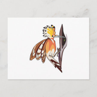 hoopoe bird postcard