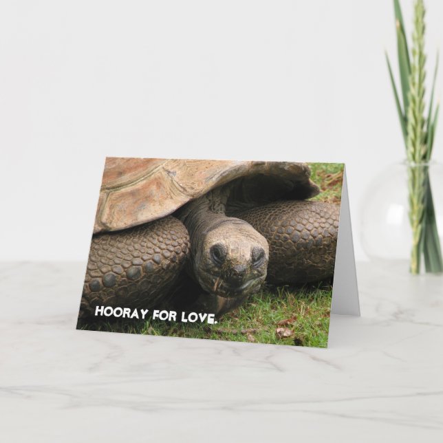 Hooray for love. holiday card (Front)