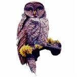 Hoo's Look'n Sculpture Pin<br><div class="desc">Hoo's Look'n a Great Gray Owl In Yellowstone National Park, an Original Watercolor By JoLyn.</div>
