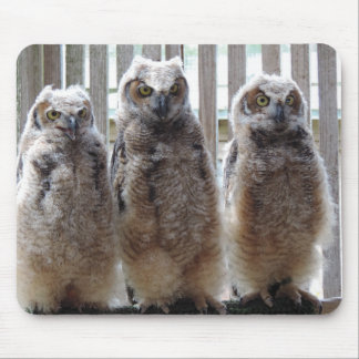 Hoot! Hoot! Hoot! Mousepad