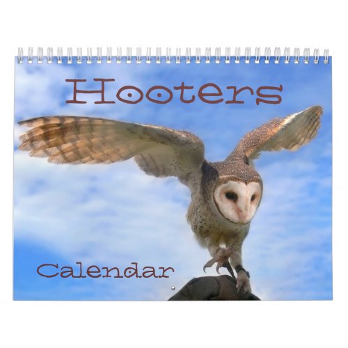 Hooters 2012 Calendar