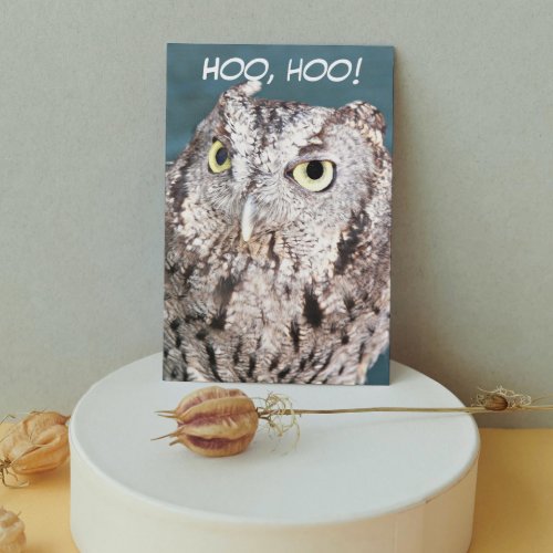 Hooting Screech Owl Funny Birthday Card