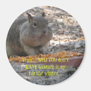 Hoover Squirrel Magnet