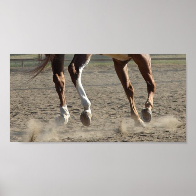 Hooves in Motion Poster (Front)