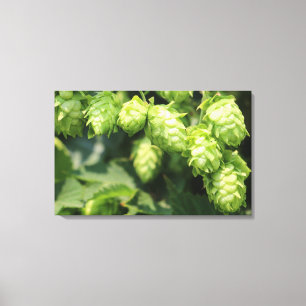Hop Art: Wild hops for the beer lover's home Canvas Print