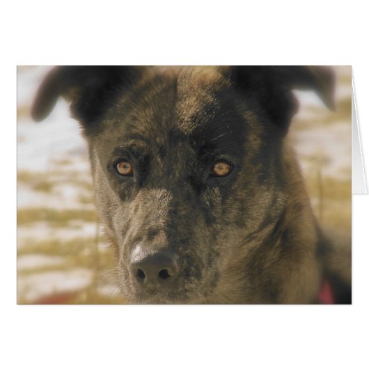 Hope (Front Horizontal)