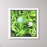 Hope 24 x 24 canvas print