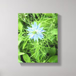 Hope 8 x 10 canvas print