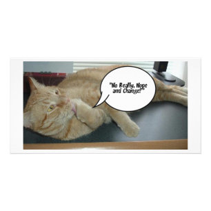 Hope and Change/Cat Humor Card