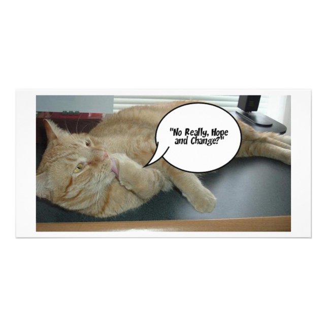 Hope and Change/Cat Humor Card (Front)