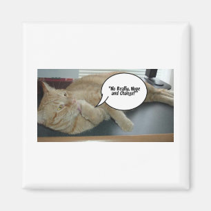 Hope and Change/Cat Humor Magnet