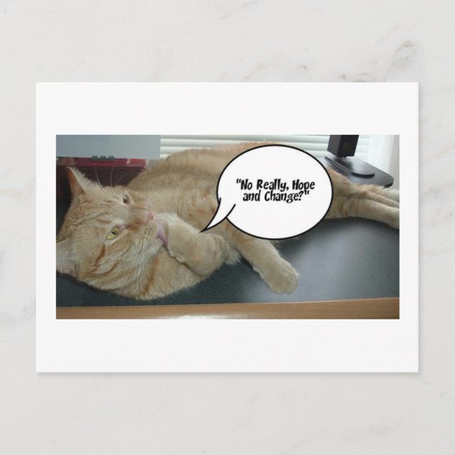 Hope and Change/Cat Humor Postcard (Front)