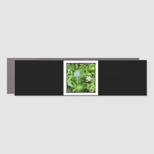 Hope Bumper Car Magnet