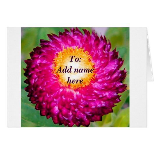 Hope_ Cards (Front Horizontal)