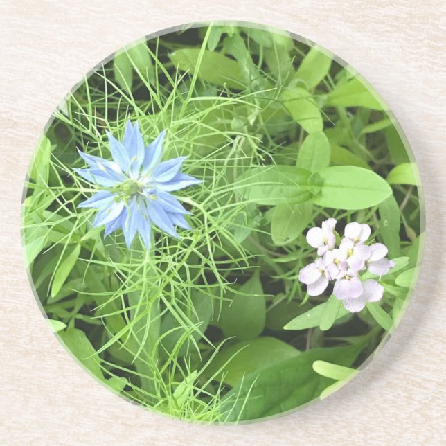 Hope Coaster (Front)