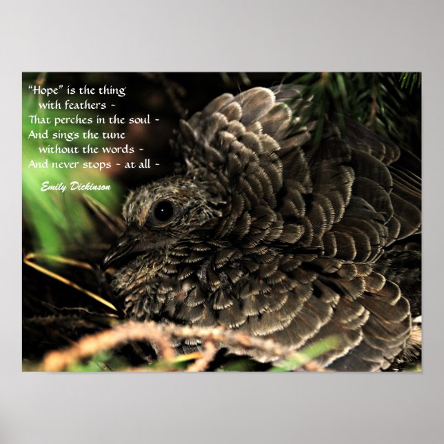 "Hope" is the thing with feathers Poster (Front)