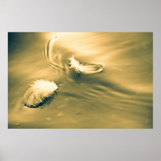 Hope is the thing with feathers poster