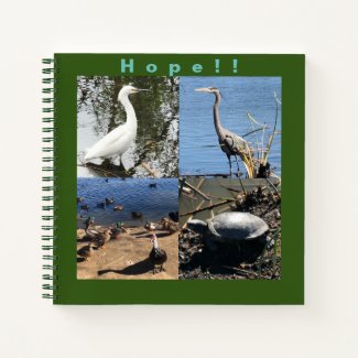 Hope Journal with Birds and Turtle