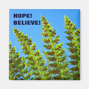 HOPE! magnet BELIEVE! Green Forest Ferns Leaves
