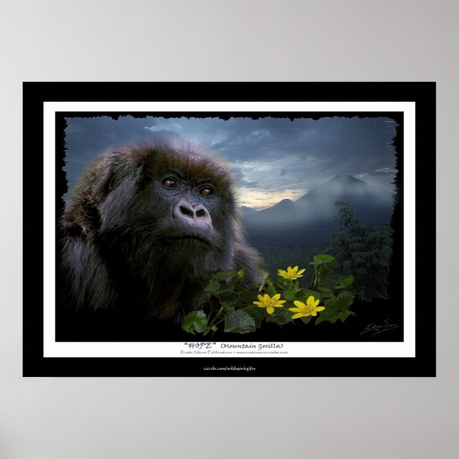 "HOPE" Mountain Gorilla Africa Wildlife Art Poster (Front)