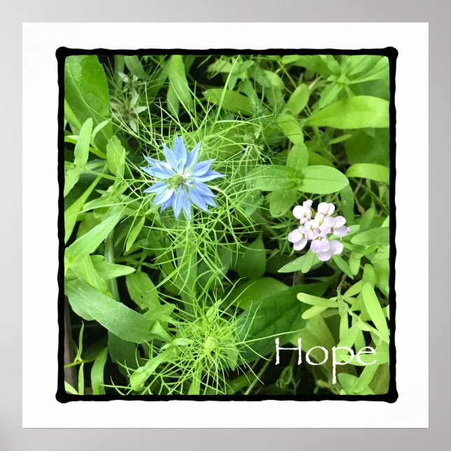 Hope Poster (Front)