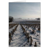 Hope Springs Eternal (Front)