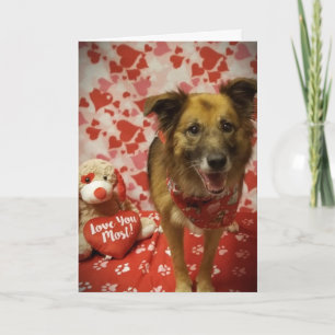 **HOPE U SAY YES TO MY QUESTION** VALENTINE CARD