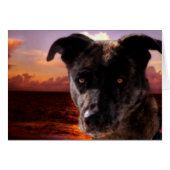 Hope Visits The Ocean (Front Horizontal)