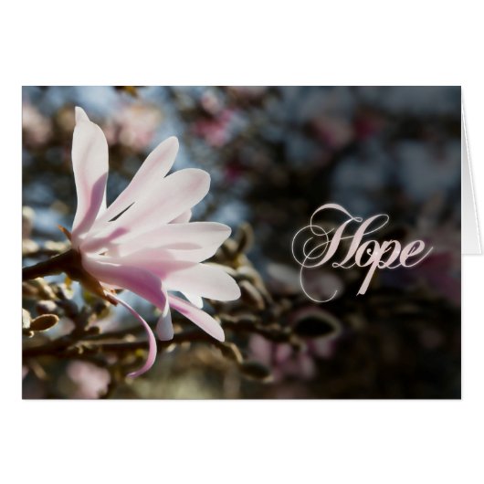 Hope with magnolia (Front Horizontal)
