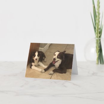Hope You Are Doing Better Thank You Card by PlaxtonDesigns at Zazzle