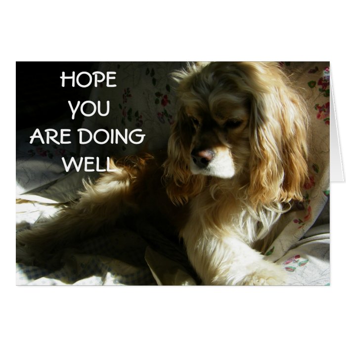 "HOPE YOU ARE DOING WELL" GREETING CARDS