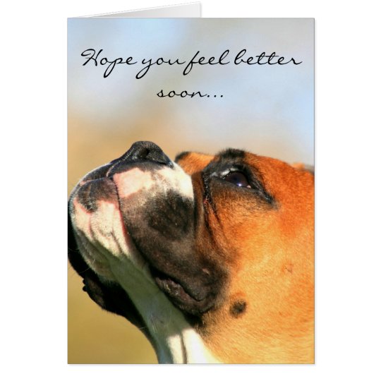 Hope you feel better Boxer Dog Greeting Card | Zazzle