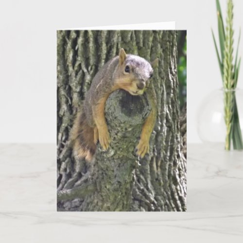 Hope you feel Better Soon Funny Squirrel Card