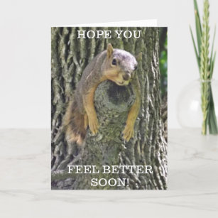 Hope you feel Better Soon, Get Better Squirrel Card