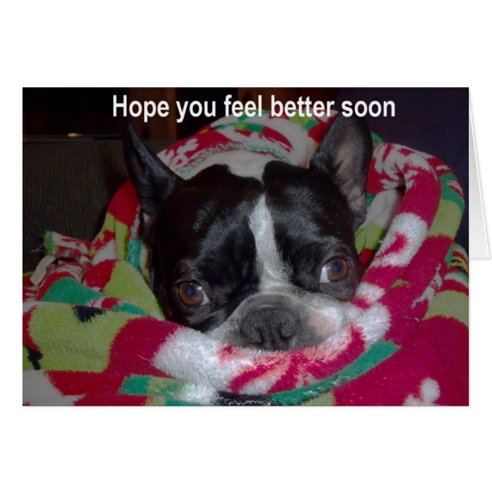 Hope you feel better soon greeting cards