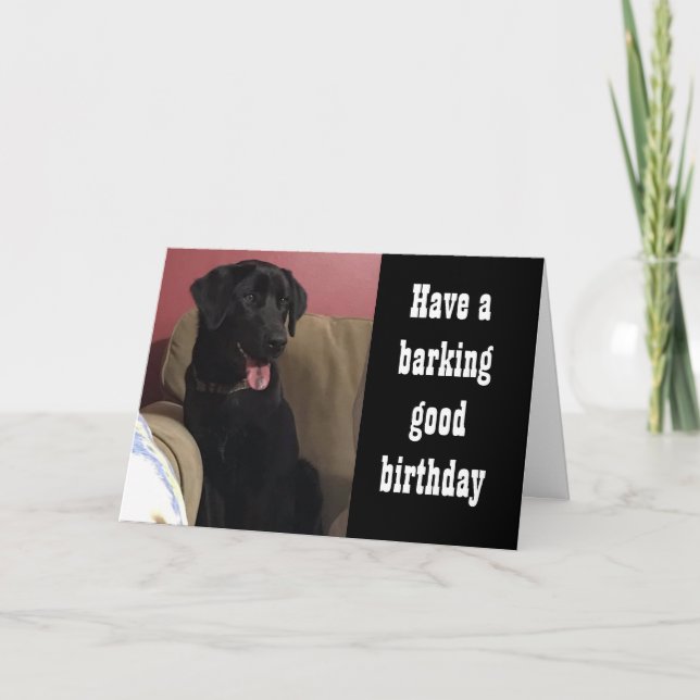 HOPE YOU GET "LOTS OF TREATS"  **BIRTHDAY** CARD (Front)