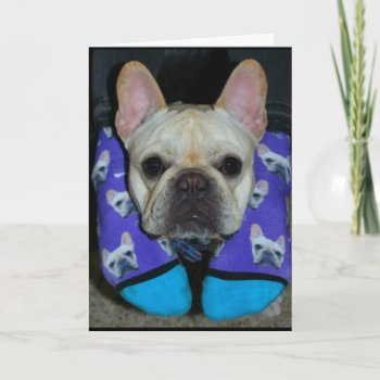 Hope Your Birthday Is Dog-gone Happy! Card by MortOriginals at Zazzle