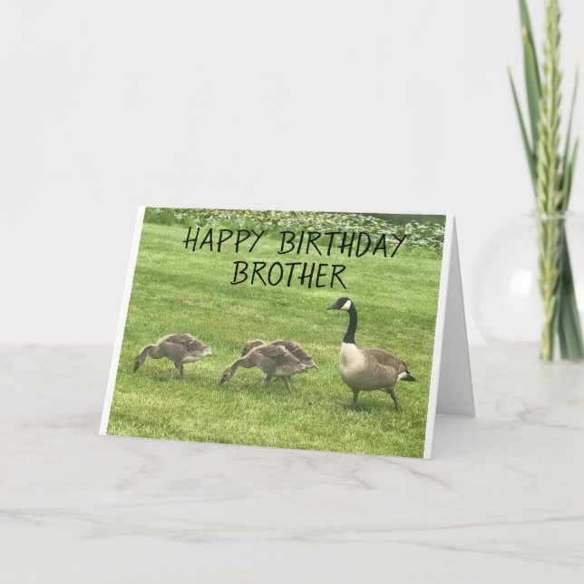 HOPE YOUR BIRTHDAY IS JUST "DUCKY" BROTHER CARD (Front)