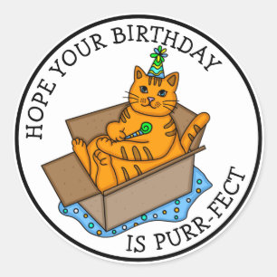 Hope your Birthday is Purr-fact Classic Round Sticker