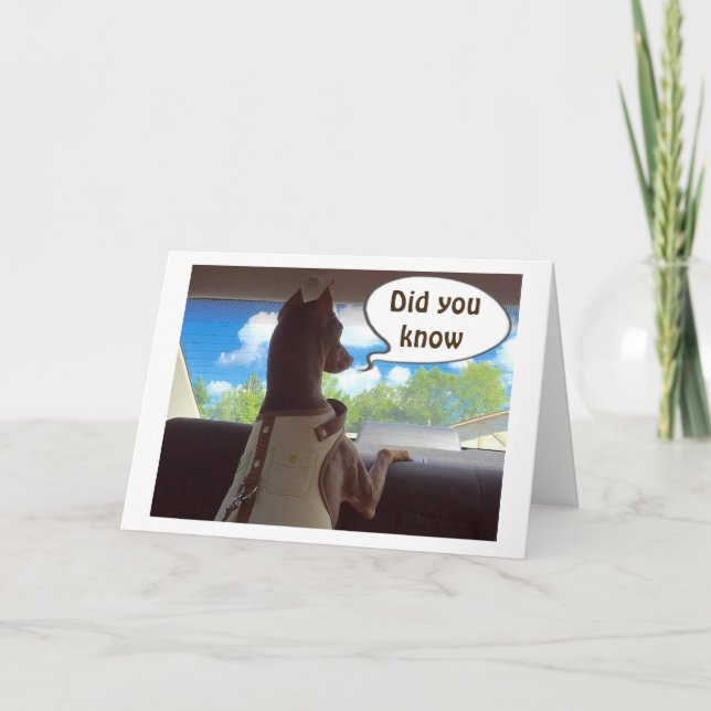 HOPE YOUR CHRISTMAS IS "AS SPECIAL AS YOU" HOLIDAY CARD (Front)