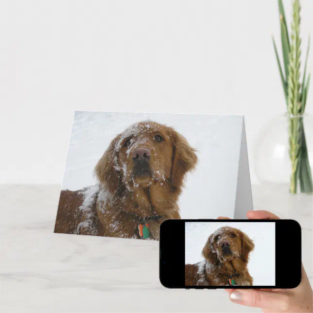 Hope Your Holidays Are Golden Holiday Card Zazzle