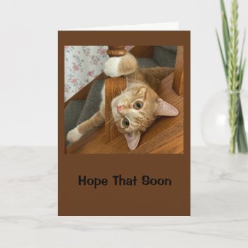 Hope You're Feeling Purr-fectly Fine! Card by MortOriginals at Zazzle