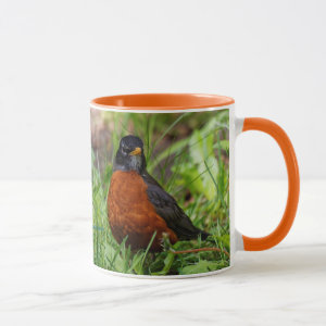 Hopeful American Robin Songbird in the Grass Mug