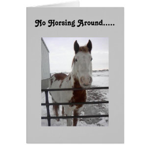 HOPEFULLY U CAN HORSE AROUND-40th Cards