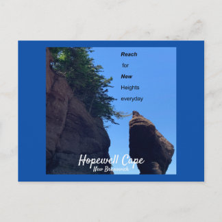 Hopewell Cape New Brunswick Postcard