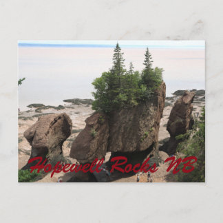 Hopewell Rocks during low tide NB Postcard