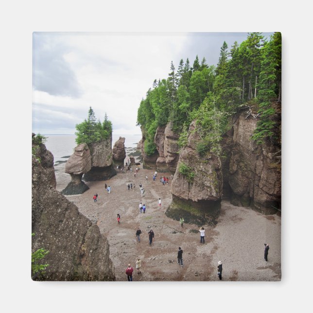 Hopewell Rocks Low Tide Canada Magnet (Front)