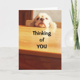 HOPING YOU FEEL "BETTER" SOON! CARD