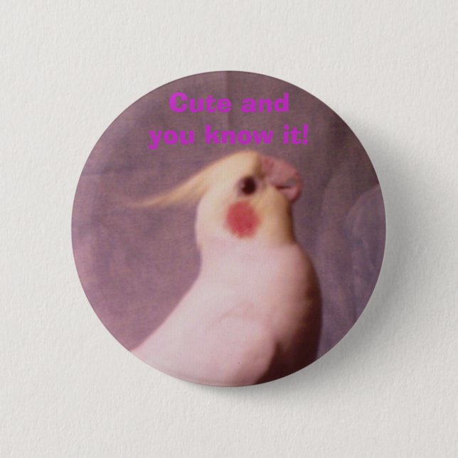 HOPPER, Cute andyou know it! Pinback Button (Front)